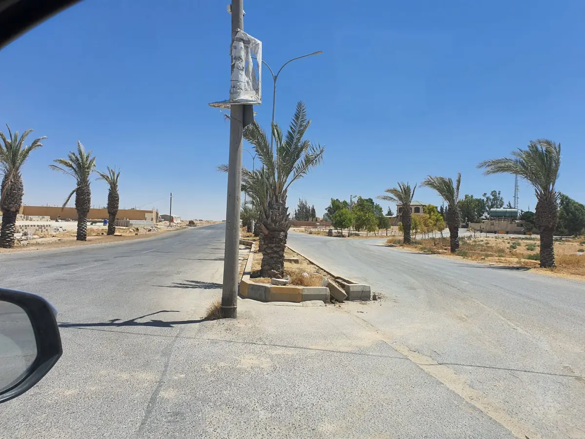 تقاطع طرق معبّد في الجيزة مع نخيل وإنارة شارع